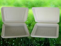 Sell Biodegradable Single-Cell Lunch Box (L-003)