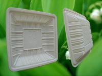 Sell Biodegradable Square Tray (HHT-09A)