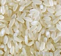 Sell Medium grain white rice 5% broken