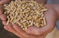 Sell wood pellets