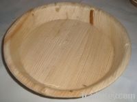 Sell disposable palm leaf plate