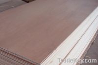 Sell plywood/film faced plywood
