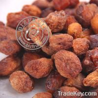 Sell dried apricot