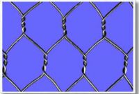 Sell Hexagonal Wire Netting (factory)