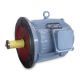 Sell Y three phase asynchronous motor