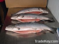 Salmon Atlantico - Hon