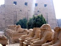 Day tour to Karnak & Luxor Temples