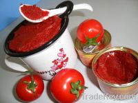 Sell 70G-4500G China Fresh Canned Tomato Paste