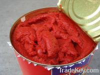 Sell Canned Tomato Paste, Ketchup, Tomato Sauce, all specifications