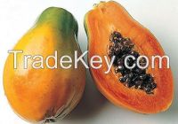 Sell Fresh Papaya