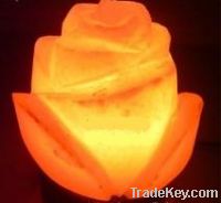 Rock Salt Rose lamp