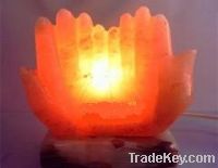 Rock Salt Praying Hand Lamp