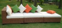 High Quality Rattan Sofa Set (BZ-SF030)