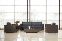 High Quality Rattan Sofa Set (BZ-SF053)