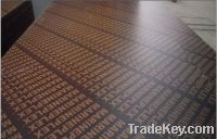 18mm  brown film faced plywood