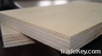 okoume bintangor plywood for furniture