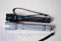 Sell  2AA CREE Q5 led torch wholesale and retail