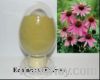 Sell Echinacea Purpurea Extract