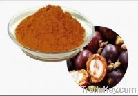 Sell Mangosteen Extract