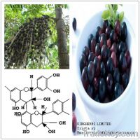 Sell Acai Extract