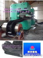 Sell sidewall conveyer belt vulcanizing press
