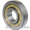 Sell Single Row cylindrical roller bearing