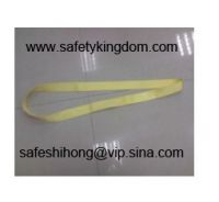 Sell 2 inch endless web sling ES-I02-5