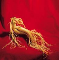 Sell Ginseng Root Extract 80%
