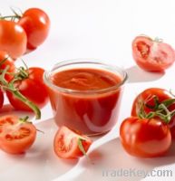 Sell tomato paste concentrate