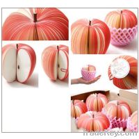 MINI Fashion Sticky Fruit Memo Pad on hot sale