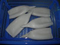 Sell Todarodes Squid Tube(annachen.sh)