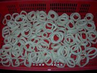 Sell squid ring  annachen.sh