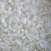 Sell medium white rice