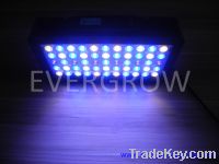 Auto-Dimming Aquarium Led Light with program controller