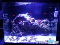 Program intelligent led aquarium light