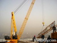 Sell Roof Derrick Crane(LD145/8-2460  )