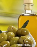 Sell Spanish Olive Oil