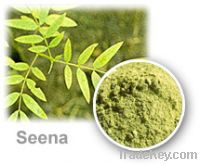 Senna leaf  use for Extracts