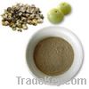 Sell  of Amla powder