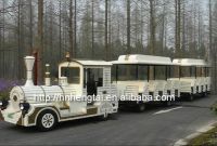 Sell 2011 outdoor interesting popular road trackless train
