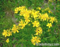 Sell weeping Forsythiae extract