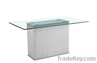 modern design glass with wood dining table xydt-241