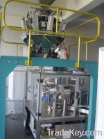 Rotary Machine Packing System with Multihead Weigher