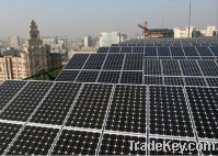 Sell solar panel 10w-300w