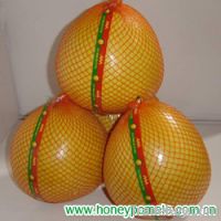 Sell fresh honey pomelo in wholesale price !!!