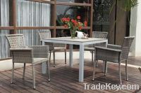 Outdoor Furniture Plastic Wood Dining Set (BZ-DP006)