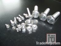 sell various types and sizes of titanium screws