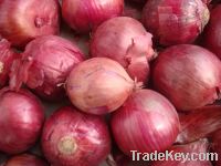 Sell onion