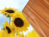 Sell Wooden Texture(Timber Vein) Aluminum Composite Board/Sheet/Panel