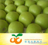 Fresh Green Apple